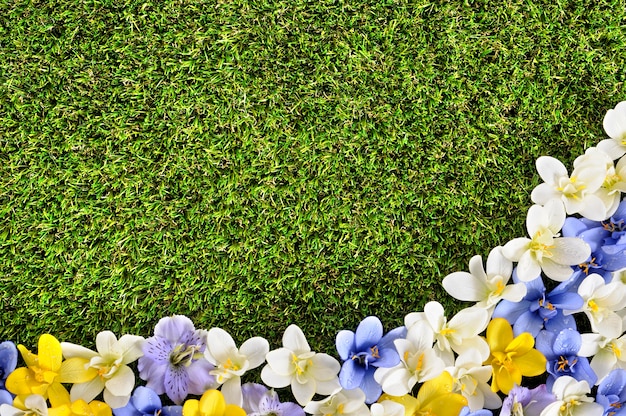 Free photo lawn with flowers