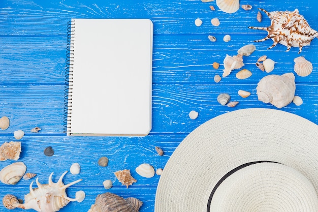 Layout of seashells and hat near notepad