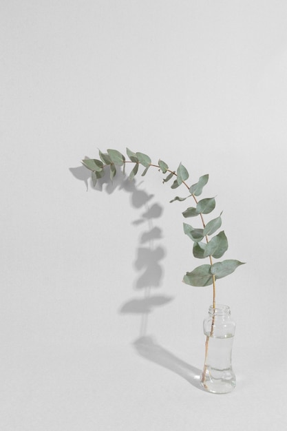 Leaf branch in vase on table