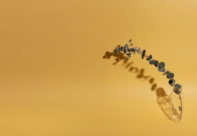 Free Photo leaf branch in vase with shadow