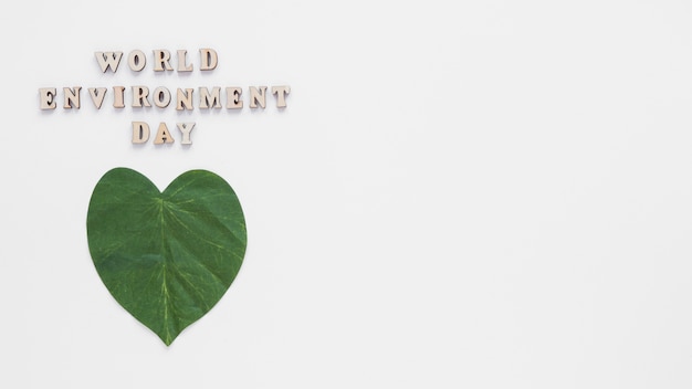 Free photo leaf heart with copy space on white background