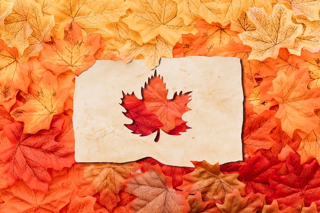 Free photo leaf shape fall season above view