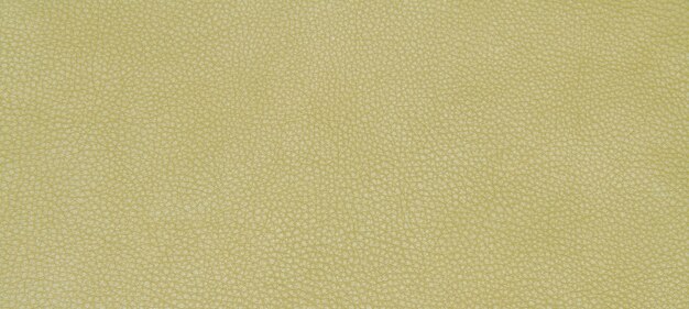 Leather green texture