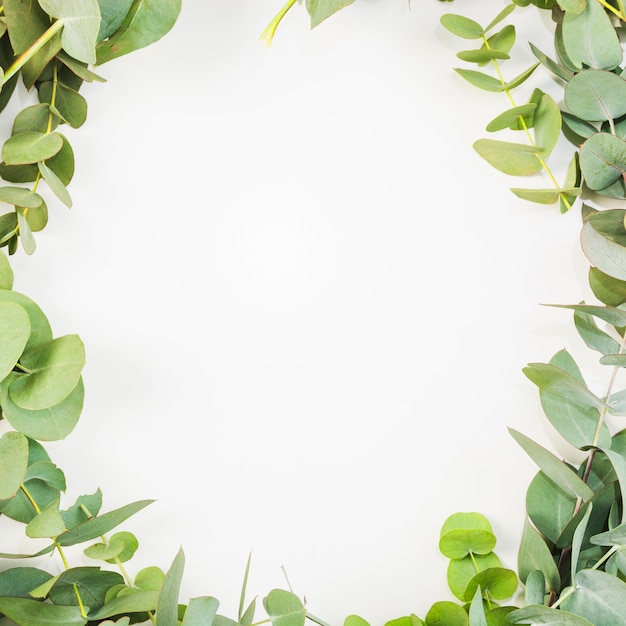 Free photo leaves are arranged like frame on white background