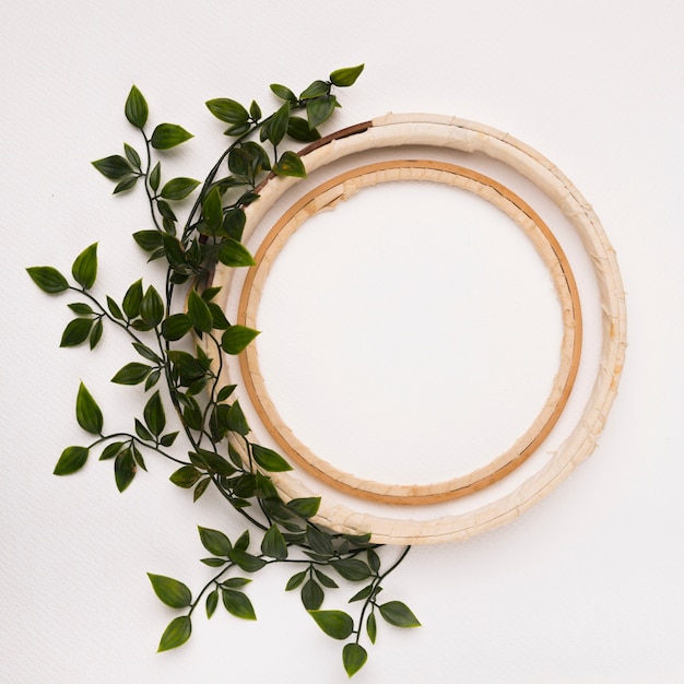 Free Photo leaves decoration with an empty wooden circles on white backdrop