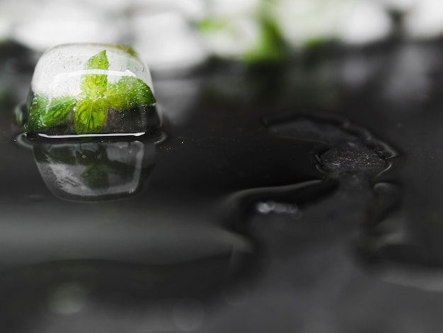 Free Photo leaves in ice block near water