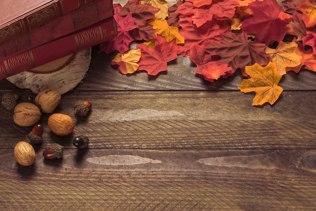 Free Photo leaves and nuts near books