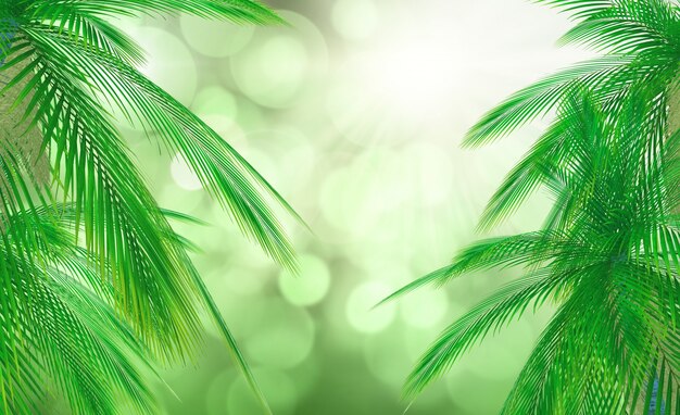 Leaves of a palm tree