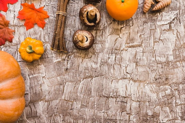 Free photo leaves and sticks near autumn food