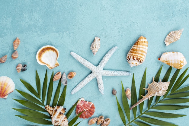 Free photo leaves with starfish and shellfish