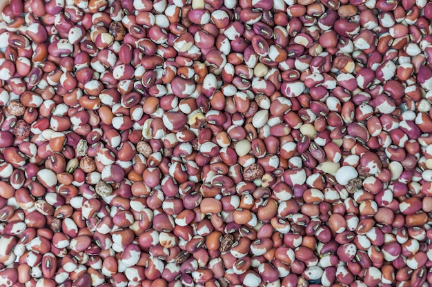 Free Photo legume texture