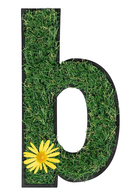 Letter b made of green grass isolated on a transparent background