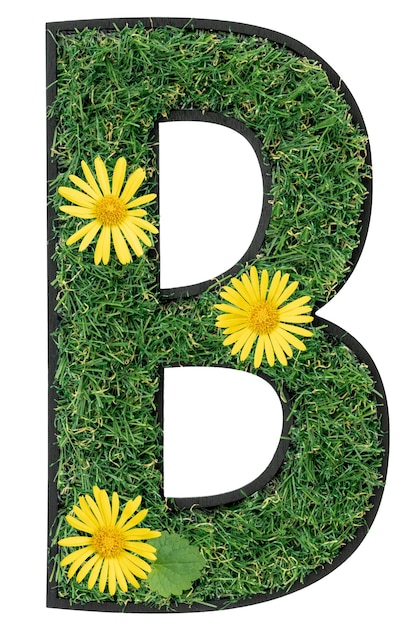 Free photo letter b made of green grass with flowers isolated on white