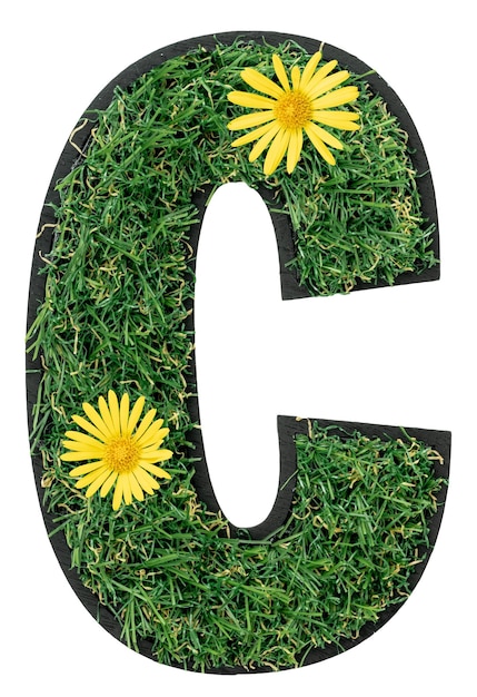 Free Photo letter c made of grass with yellow flowers isolated on a transparent background