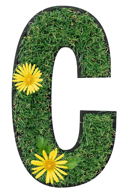 Free Photo letter c made of green grass with flowers isolated on white