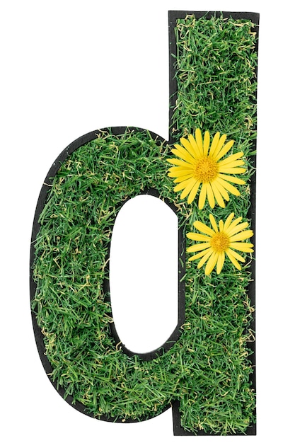 Letter d made of grass with yellow flowers isolated on a transparent background