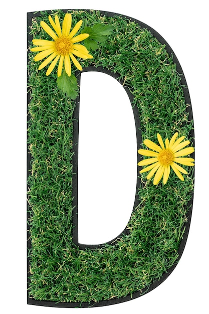 Letter D made of green grass with flowers isolated on white