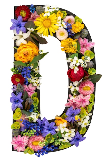 Letter d made of real natural flowers and leaves on transparent background