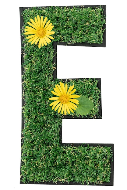 Free photo letter e made of green grass with flowers isolated on a transparent background