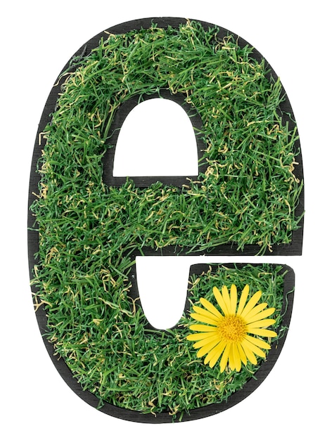 Free Photo letter e made of green grass with flowers isolated on a transparent background