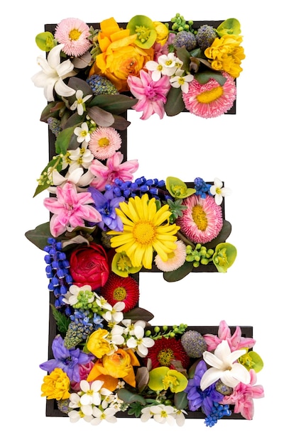 Free Photo letter e made of real natural flowers and leaves on white background isolated