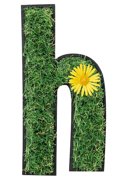 Free photo letter h made of green grass with flowers isolated on white