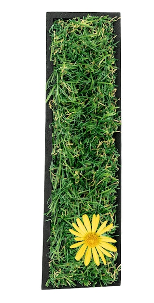 Free photo letter i made of green grass with flower isolated on a transparent background