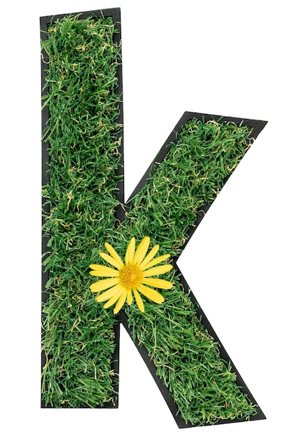 Free photo letter k made of green grass with flowers isolated on a transparent background