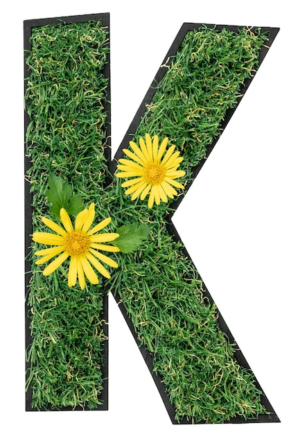 Letter K made of green grass with flowers isolated on white