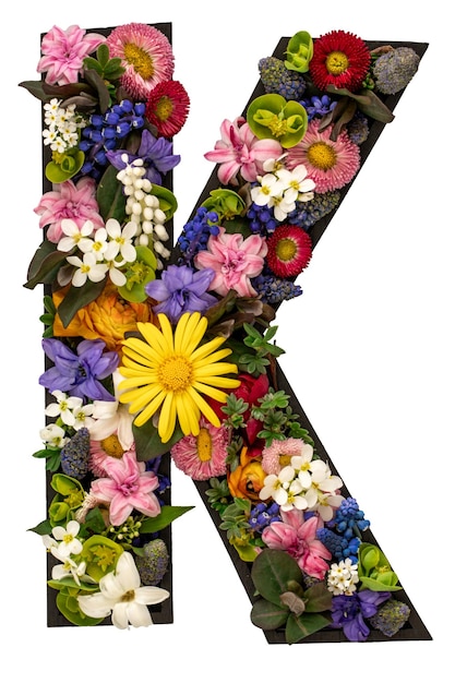 Free Photo letter k made of real natural flowers and leaves on white background isolated