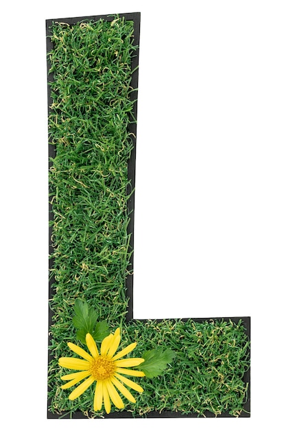 Letter L made of green grass with flowers isolated on white