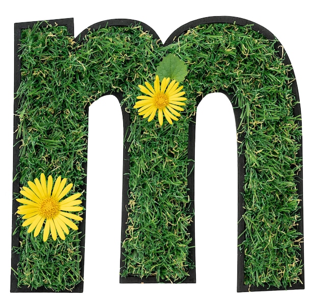 Free photo letter m made of green grass with flowers isolated on white