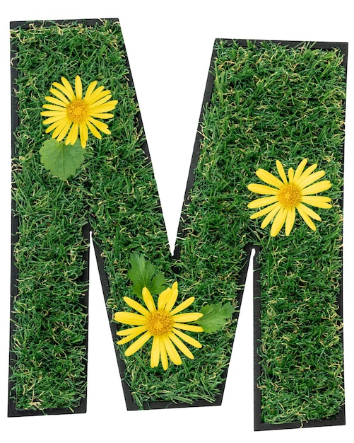 Free photo letter m made of green grass with flowers isolated on white