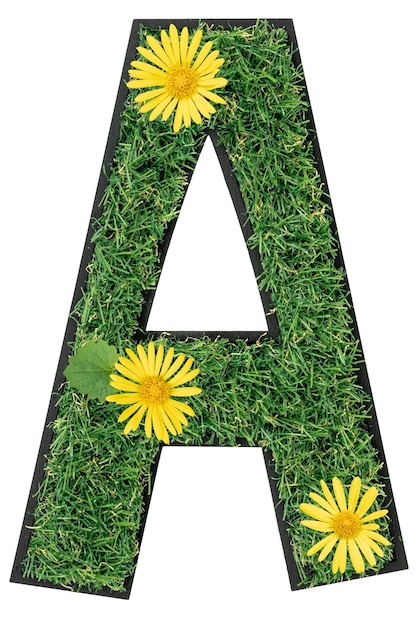 Free Photo letter a made of green grass isolated on a transparent background