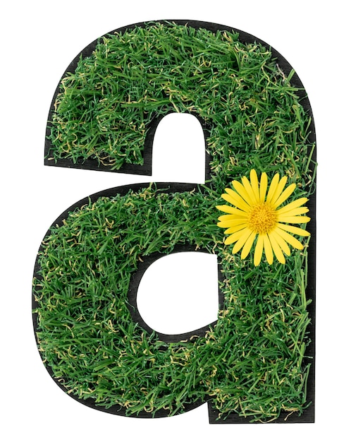 Free Photo letter a made of green grass with flowers isolated on white