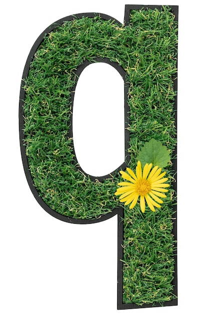 Free photo letter q made of green grass with flowers isolated on a transparent background