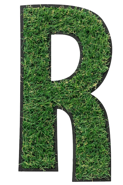 Free photo letter r made of green grass isolated on white