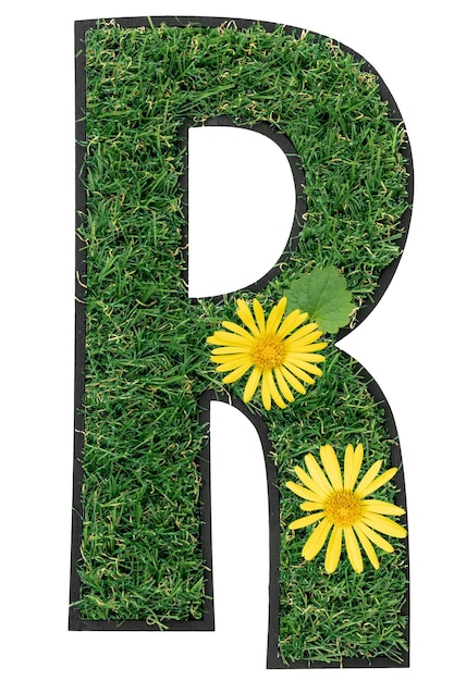 Free Photo letter r made of green grass with flowers isolated on a transparent background