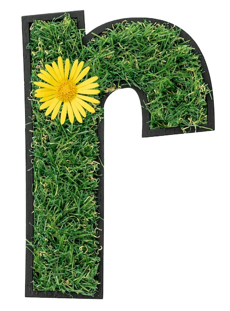 Letter R made of green grass with flowers isolated on white