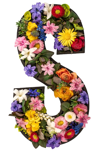 Letter s made of real natural flowers and leaves on transparent background