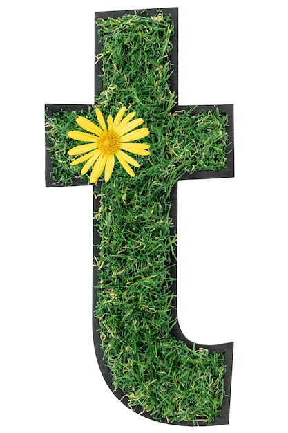 Free photo letter t made of green grass with flowers isolated on white