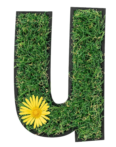 Free photo letter u made of green grass with flowers isolated on a transparent background