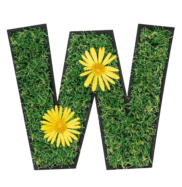 Free photo letter w made of green grass with flowers isolated on white