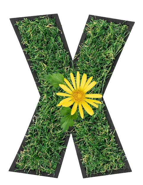 Free photo letter x made of green grass with flowers isolated on a transparent background