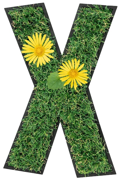 Free photo letter x made of green grass with flowers isolated on white