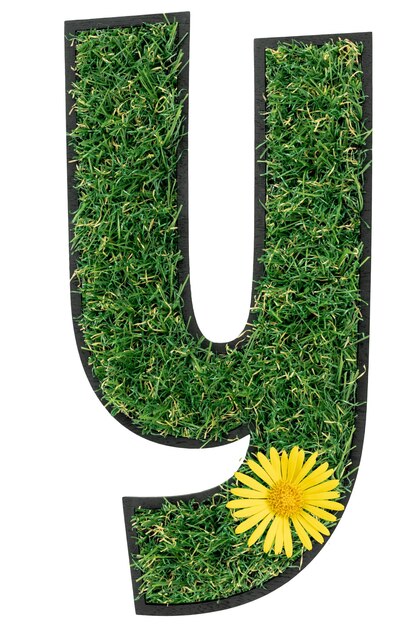 Free Photo letter y made of green grass with flowers isolated on white