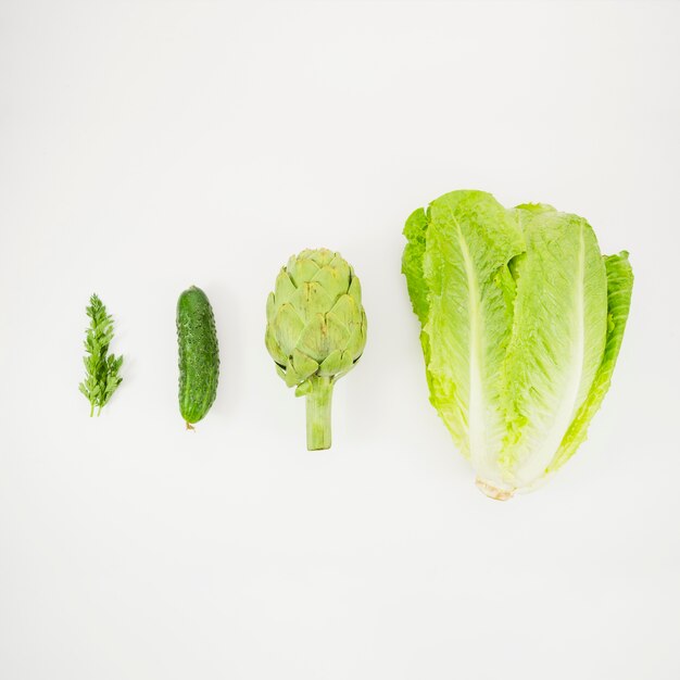 Lettuce, artichoke cucumber and parsley