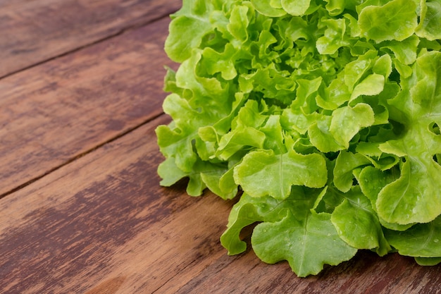 Free photo lettuce  that is placed on a brown wooden floor.