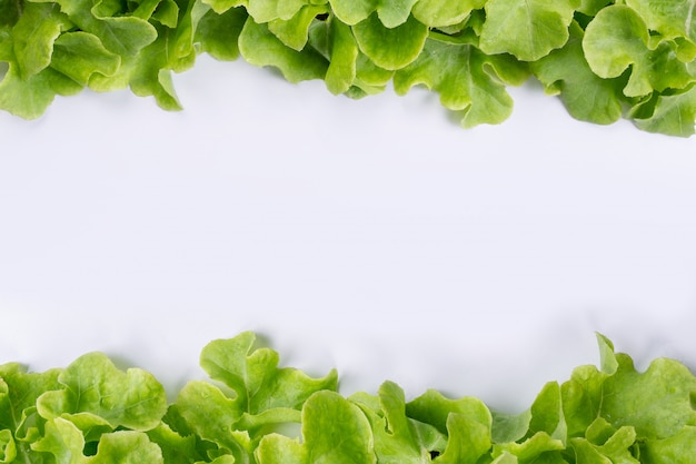 Lettuce  that is placed on a white .