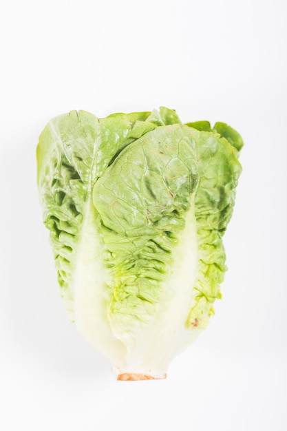 Free photo lettuce